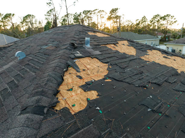 Best Roof Coating and Sealing  in Heritage Pines, FL