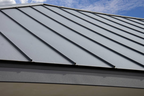Best Storm Damage Roof Repair  in Heritage Pines, FL